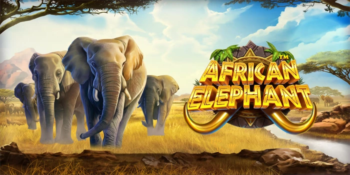 Analisis Akurat Slot African Elephant Untuk Pemain Serius